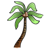 Coconut+Tree Picture