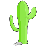 Cactus Picture