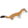 weasel Picture