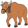 bull Picture