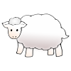 +1+sheep Picture