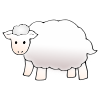 The white sheep is fluffy.