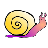 Slide+like+a+Snail Picture