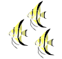 Three Angelfish Stencil