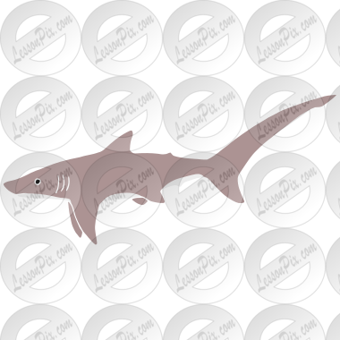 Thresher Shark Stencil