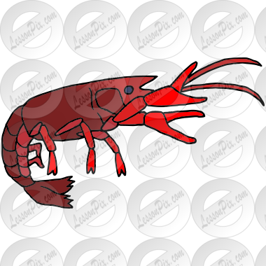 Crayfish Picture