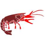 Crayfish Stencil