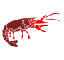 Crayfish Stencil