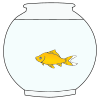 Why didn't the fish think they should not fly kites in the house?
