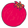 Pomegranate Picture