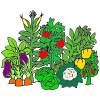 Have you ever picked food from a plant and eaten it?