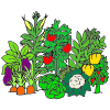 Vegetables+grow Picture