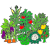plants