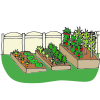 Palace Garden  Picture