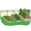 Vegetable+Garden Picture