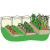 plants