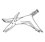 Pterodactyl Outline