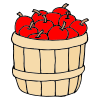 Apple Basket