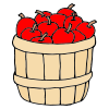 b+ushel+of+apples Picture