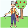 Johnny Appleseed