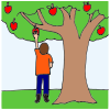 I+like+to+go+to+the+orchard+to+pick+apples+from+the+trees. Picture