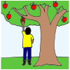 FARMER BROWN HAD 5 RED APPLES