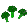 Broccoli+is+green. Picture