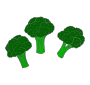 Broccoli Picture