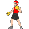 boxer