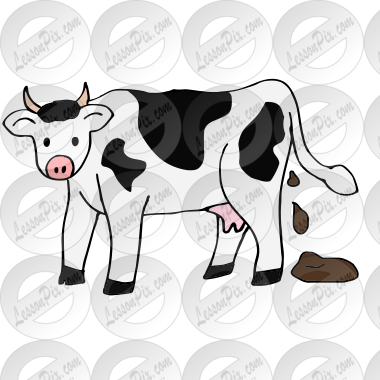 Cow Poop