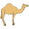 The camels were spitting