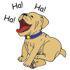 laughing dog