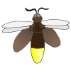 lightning bug