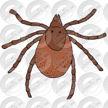 Tick Picture