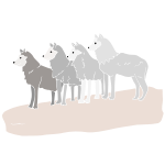 Wolves Stencil