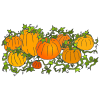 pumpkin patch
