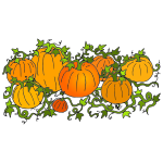 Pumpkin Patch Picture