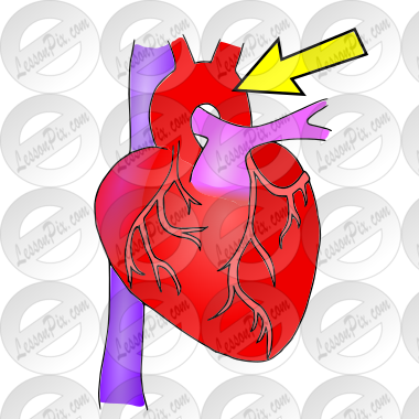 Aorta Picture for Classroom / Therapy Use - Great Aorta Clipart