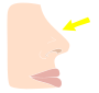 Nose Stencil