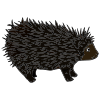 Dance+like+a+porcupine Picture
