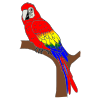 I see a parrot.
