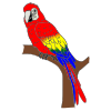 The+parrot+flew+away. Picture