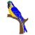 bird