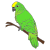 bird