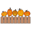 5 pumpkins