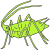 bug