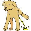 dog peeing