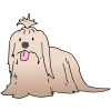 Little Dog