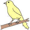 Yellow+Bird Picture