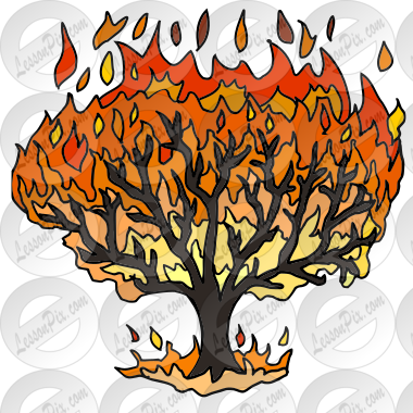 Burning Bush